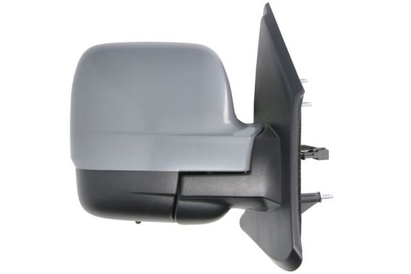 Blic Buitenspiegel 5402-09-2476317P