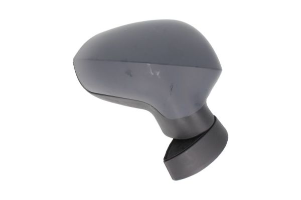 Blic Buitenspiegel 5402-10-2002288P