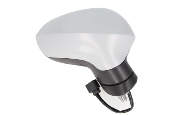 Blic Buitenspiegel 5402-10-2002296P