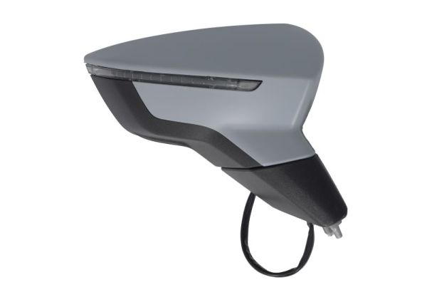 Blic Buitenspiegel 5402-10-2120311P