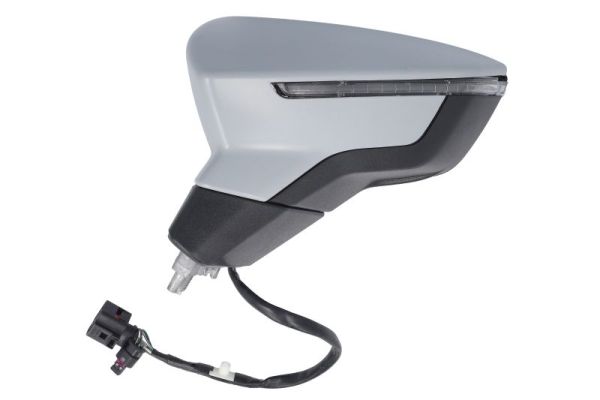 Blic Buitenspiegel 5402-10-2120312P