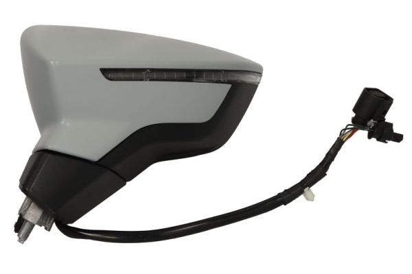 Blic Buitenspiegel 5402-10-2120314P