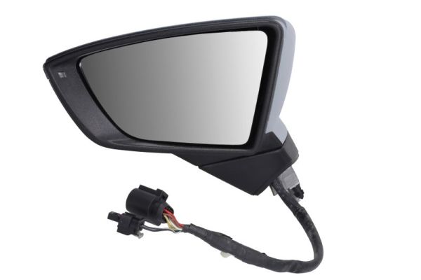 Blic Buitenspiegel 5402-10-2120316P