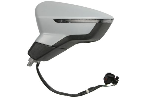 Blic Buitenspiegel 5402-10-2120316P