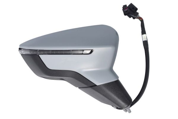 Blic Buitenspiegel 5402-10-2120317P