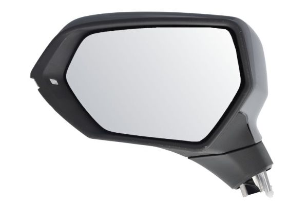 Blic Buitenspiegel 5402-10-2358312P