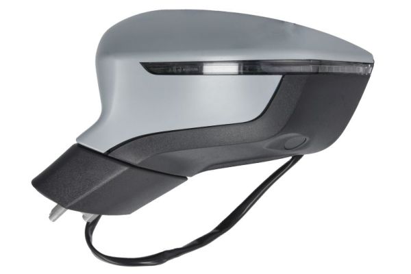 Blic Buitenspiegel 5402-10-2439310P