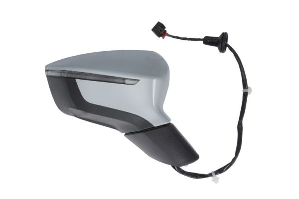 Blic Buitenspiegel 5402-10-2439311P