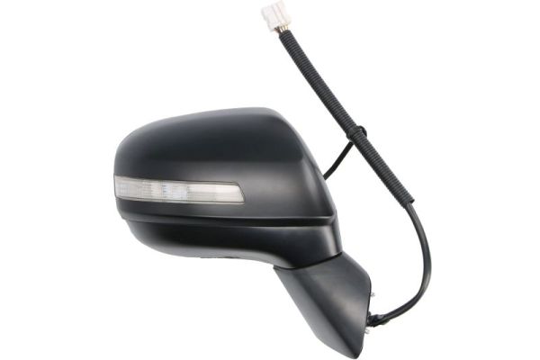 Blic Buitenspiegel 5402-12-0461311P