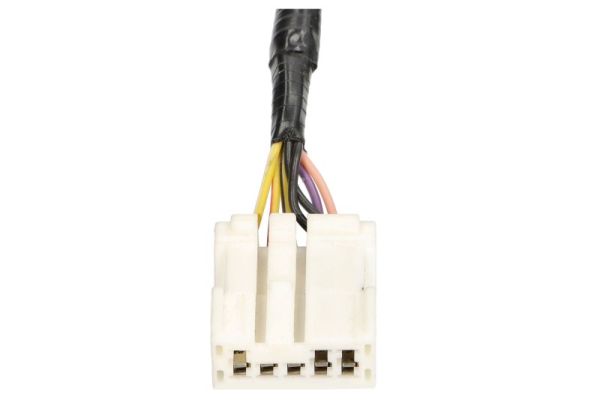 Blic Buitenspiegel 5402-12-0461311P