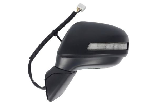 Blic Buitenspiegel 5402-12-0461312P