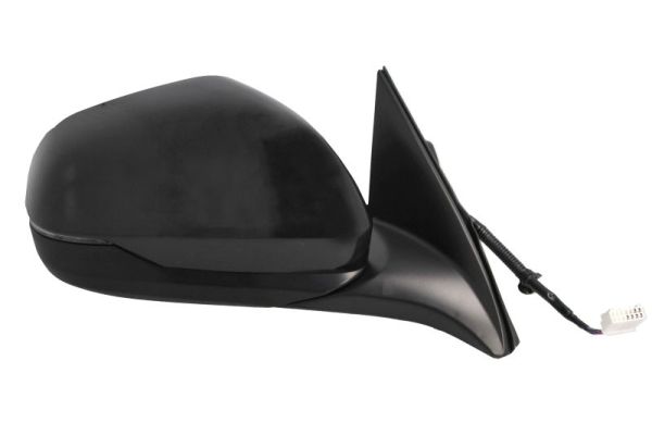 Blic Buitenspiegel 5402-12-0493311P