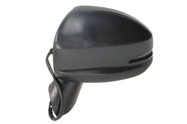 Blic Buitenspiegel 5402-12-0499312P