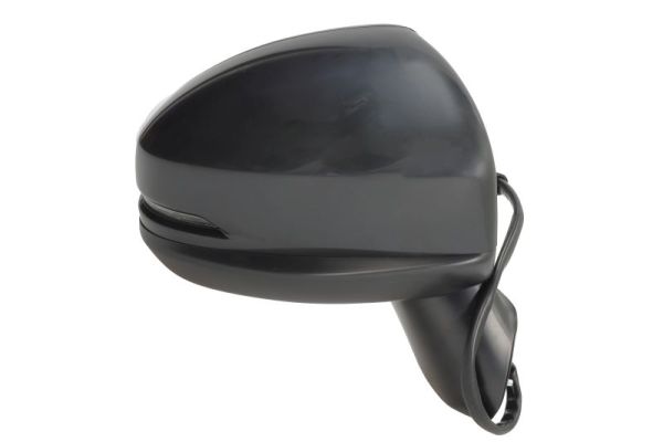 Blic Buitenspiegel 5402-12-0499313P