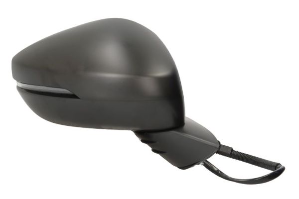 Blic Buitenspiegel 5402-12-2501311P