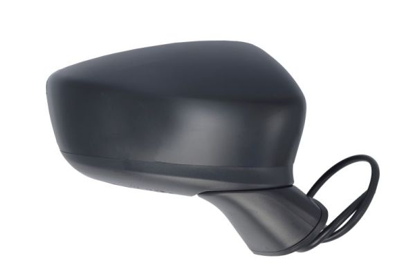 Blic Buitenspiegel 5402-14-0741311P