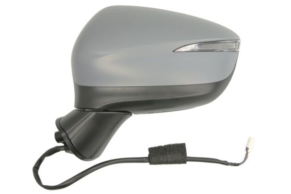 Blic Buitenspiegel 5402-14-0770312P