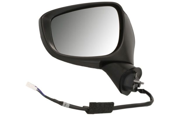 Blic Buitenspiegel 5402-14-0770316P