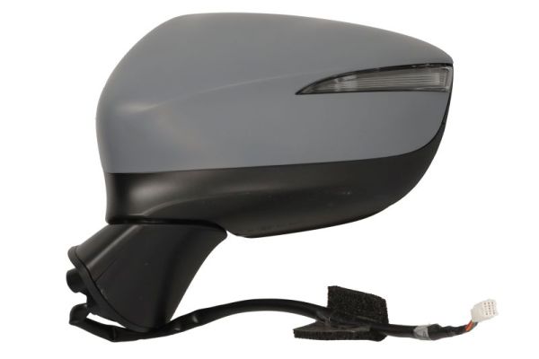 Blic Buitenspiegel 5402-14-0770316P