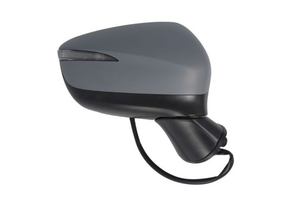 Blic Buitenspiegel 5402-14-0770317P