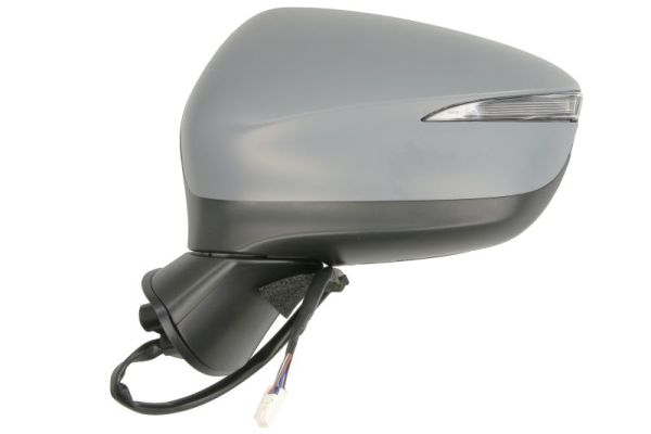 Blic Buitenspiegel 5402-14-0770320P