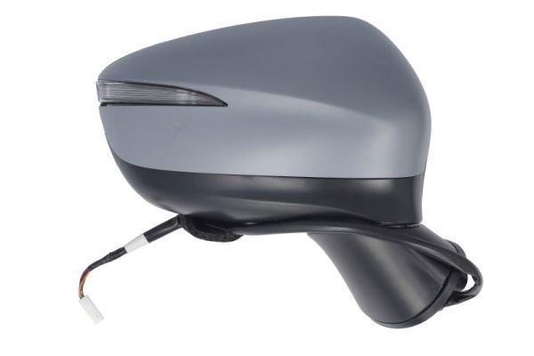 Blic Buitenspiegel 5402-14-0770321P