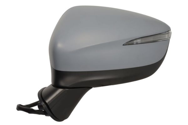 Blic Buitenspiegel 5402-14-0770324P