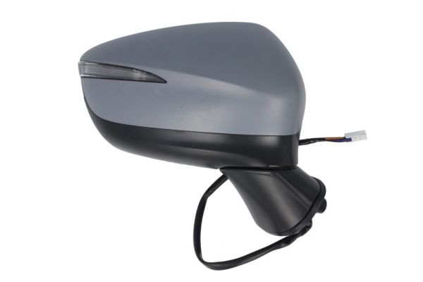 Blic Buitenspiegel 5402-14-0770325P