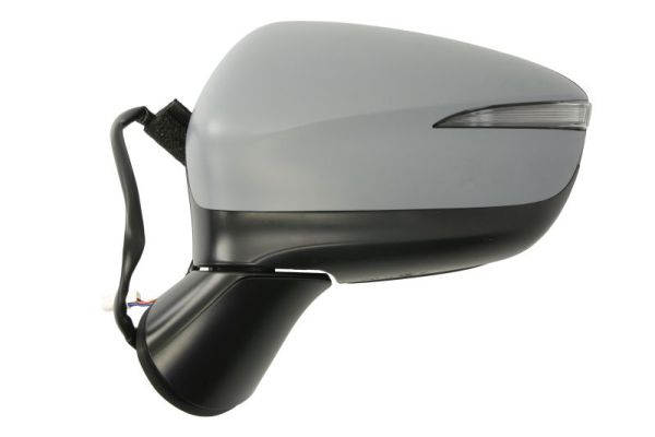 Blic Buitenspiegel 5402-14-1905312P