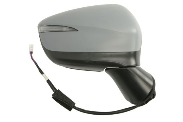 Blic Buitenspiegel 5402-14-1905317P