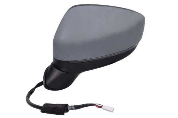 Blic Buitenspiegel 5402-14-1906310P