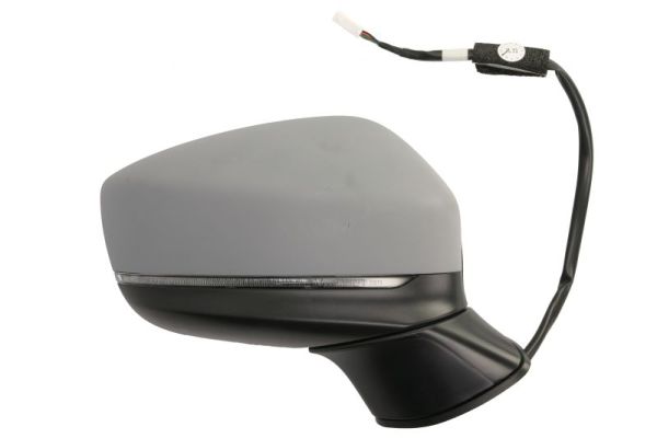 Blic Buitenspiegel 5402-14-1906311P