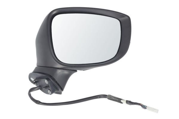 Blic Buitenspiegel 5402-14-1906313P