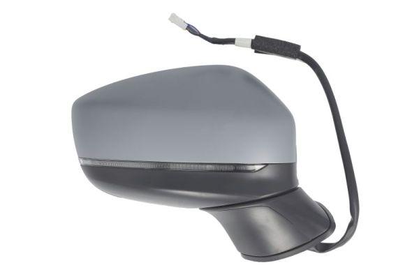 Blic Buitenspiegel 5402-14-1906313P