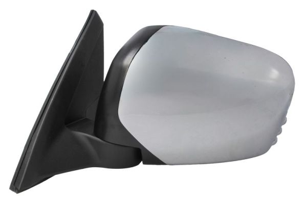 Blic Buitenspiegel 5402-15-0915310P