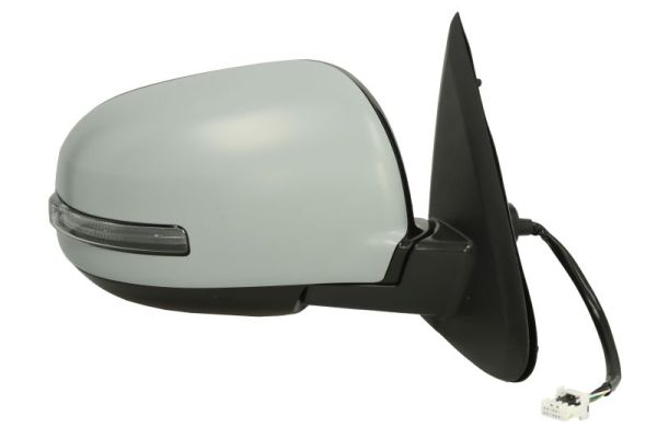 Blic Buitenspiegel 5402-15-2001862P