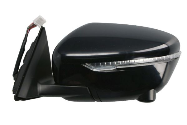 Blic Buitenspiegel 5402-16-1036318P