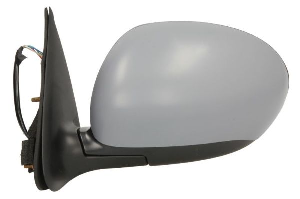 Blic Buitenspiegel 5402-16-2001875P