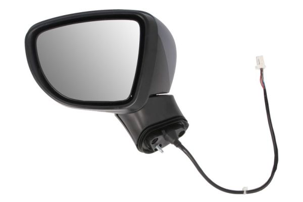 Blic Buitenspiegel 5402-16-2104312P