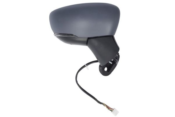 Blic Buitenspiegel 5402-16-2104319P