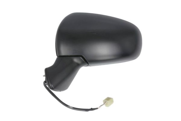 Blic Buitenspiegel 5402-18-1382310P