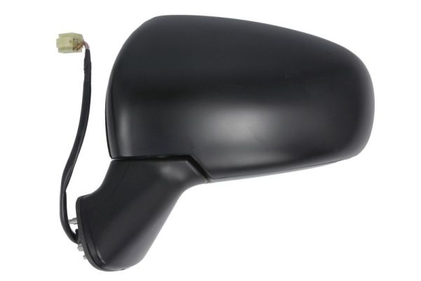 Blic Buitenspiegel 5402-18-1382312P