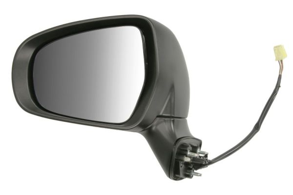 Blic Buitenspiegel 5402-18-1382314P