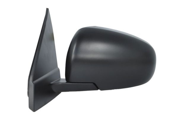 Blic Buitenspiegel 5402-18-1384310P