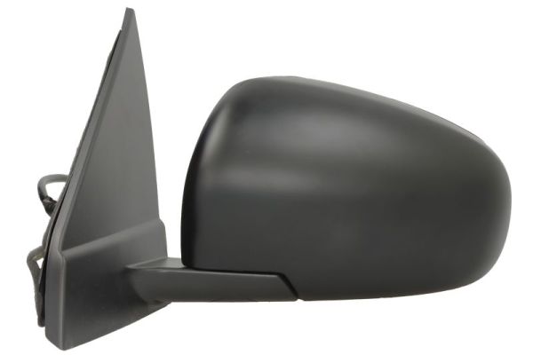 Blic Buitenspiegel 5402-18-1384312P