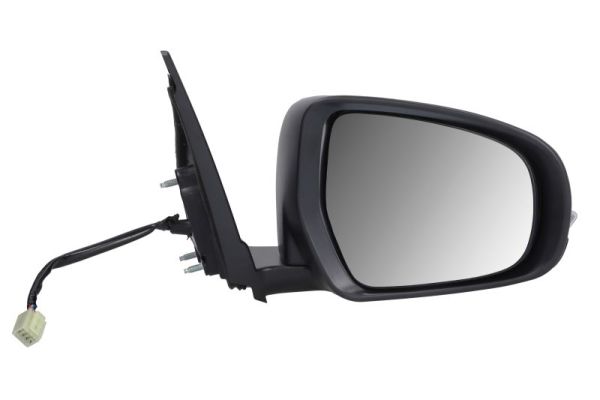 Blic Buitenspiegel 5402-18-1384321P