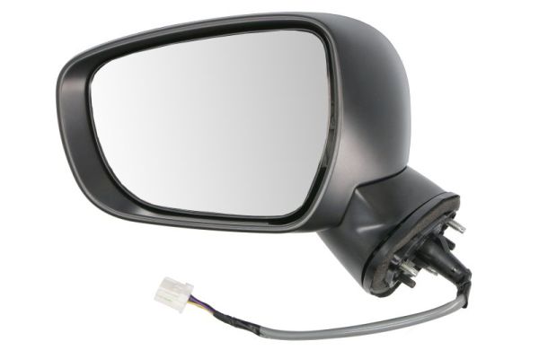 Blic Buitenspiegel 5402-18-2002310P