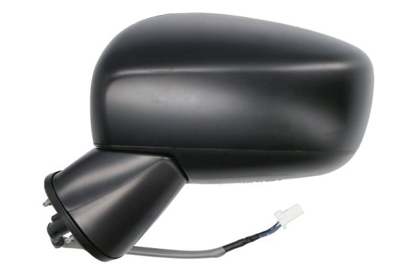 Blic Buitenspiegel 5402-18-2002310P