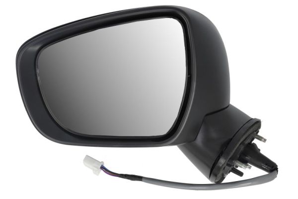 Blic Buitenspiegel 5402-18-2002312P