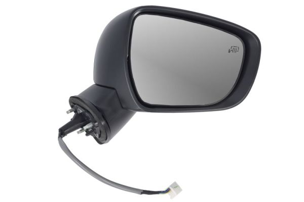 Blic Buitenspiegel 5402-18-2002313P